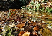 07 fontana colma d'acqua e di foglie...